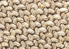 Wicker